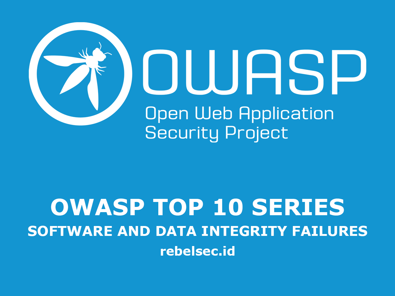 Owasp Top 10 Series — A8 (Software and Data Integrity Failures)